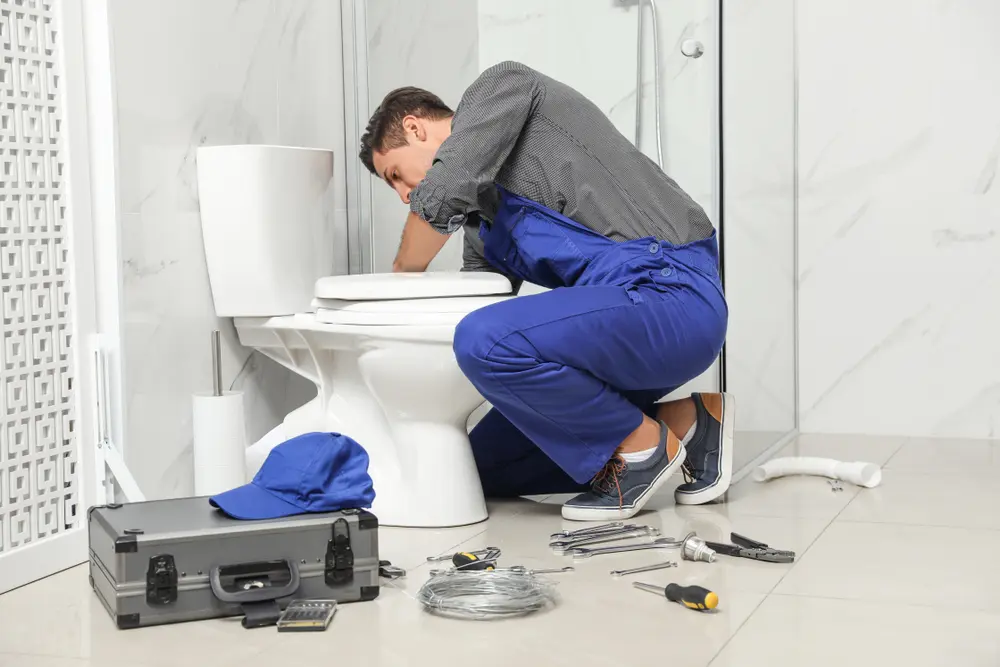 Toilet Installation in Burtrum